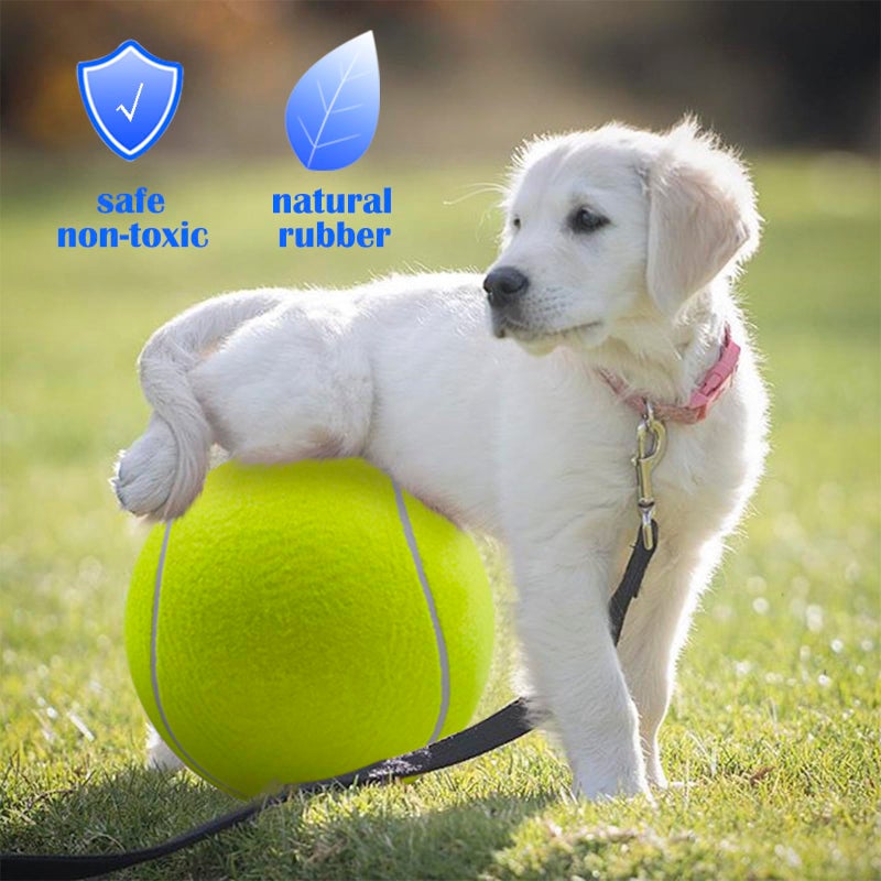 Banfeng Big Tennis Ball for Dogs, Giant Dog Tennis Ball Toy Large Outdoor Sports Gift for Small Medium Large Dog (Yellow, 9.5 inch) - Image 2